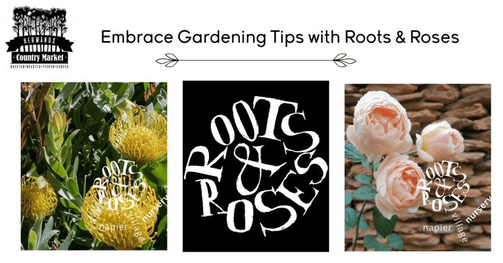 Rainer and Ludwig, are passionate about winter gardening and eager to share our expert tips to keep your garden thriving during the colder months.