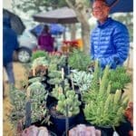 Roots & Roses Nursery Expert Gardening Advice