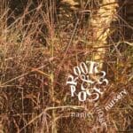 Andropogon appendiculatus Common name(s) Blougras (Afr.) Blue Grass, Vlei Bluestem (Eng.) available at Roots & Roses Nursery